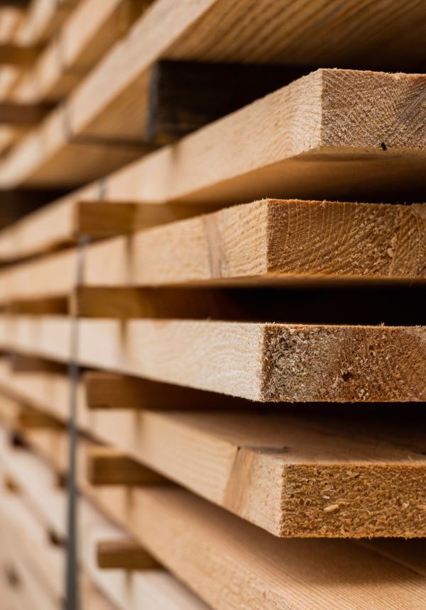 Holz